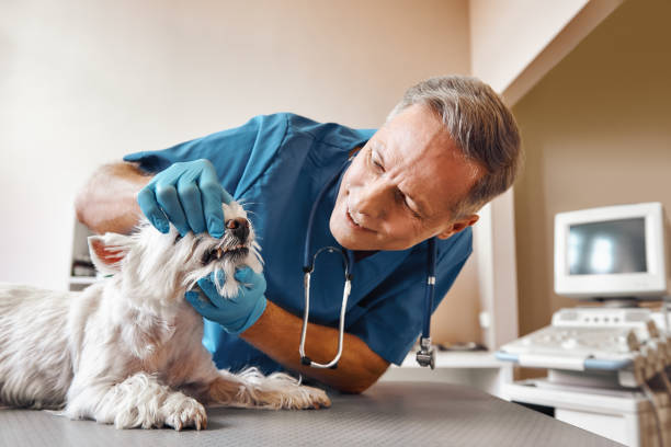 Best Urgent Dental Care  in West Perrine, FL