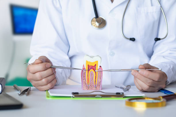 Best Knocked-Out Tooth Emergency  in West Perrine, FL